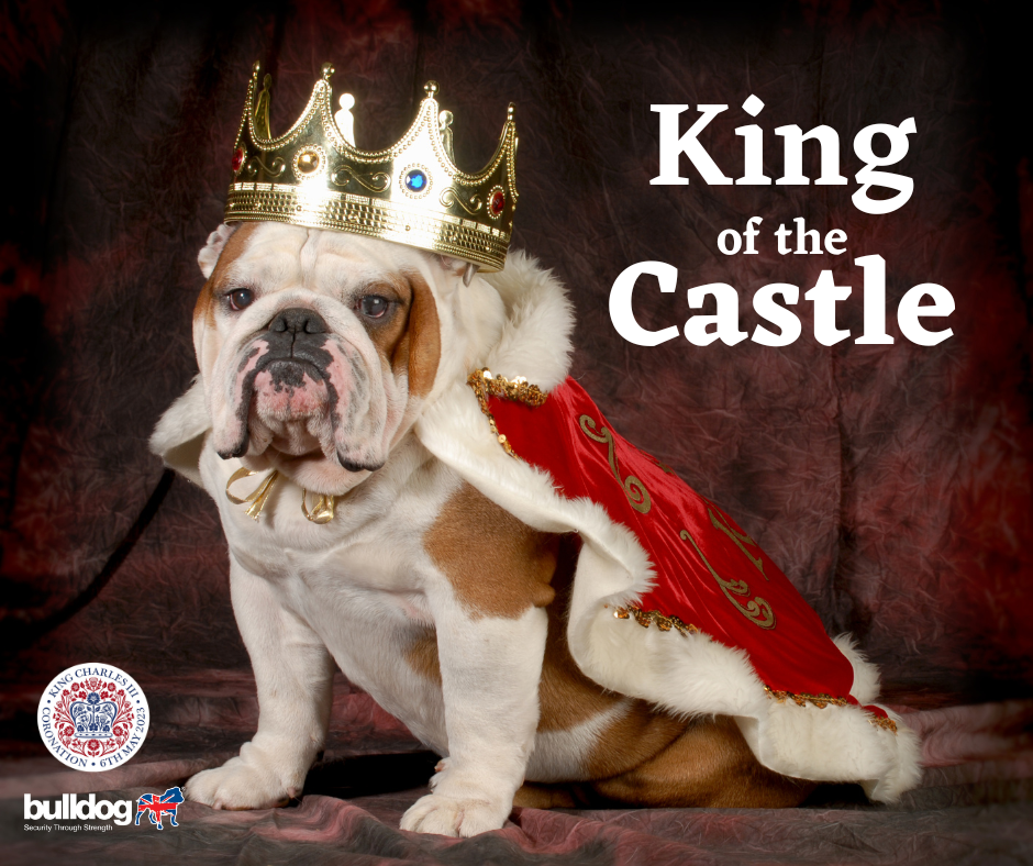 King of the Castle BLOG picture.png